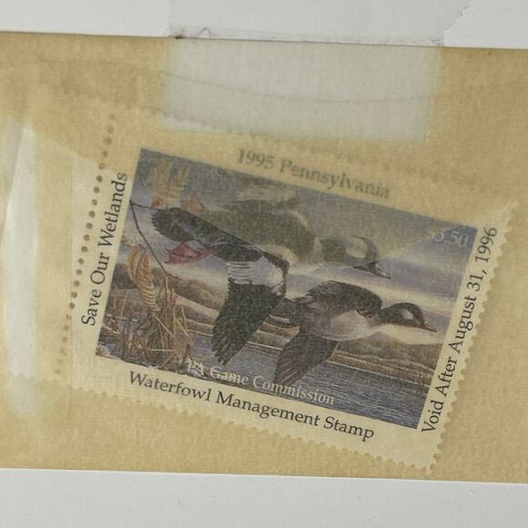 Pennsylvania Waterfowl Management Stamp Print Bufflehead Ducks 1995 #2235/7380 - Picture 3 of 4